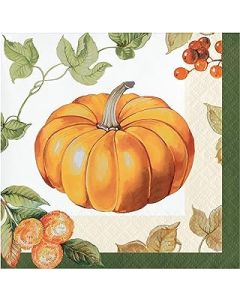 Pumpkin Harvest Beverage Napkin 