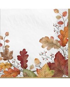 Nature's Harvest Paper Dinner Napkin